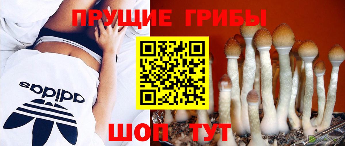 Псилоцибиновые грибы мицелий Амурск