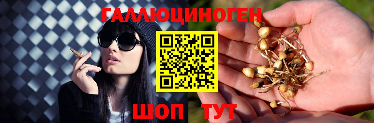 Галлюциногенные грибы прущие грибы  хочу   Амурск  Вход с VPN  Галлюциногенные грибы MAGIC MUSHROOMS 